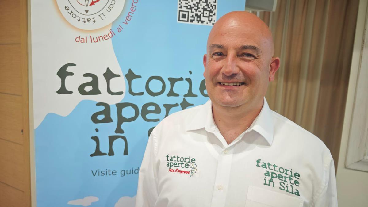 Paesaggio montano con fattorie tradizionali circondate da boschi verdi in atmosfera soleggiata, immagine di approfondimento