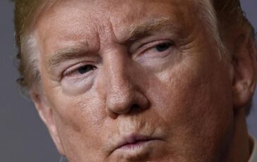 Trump piu ricco con le criptovalute ma molti suoi fan sono in rosso lanalisi del Wall Street Journal 364x230