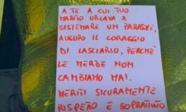 Tuo marito urla lascialo il messaggio sul parabrezza diventa un caso web 265x160