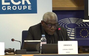 Ue card. Sarah No a colonizzazione ideologica Africa ma sussidiarieta autentica 364x230