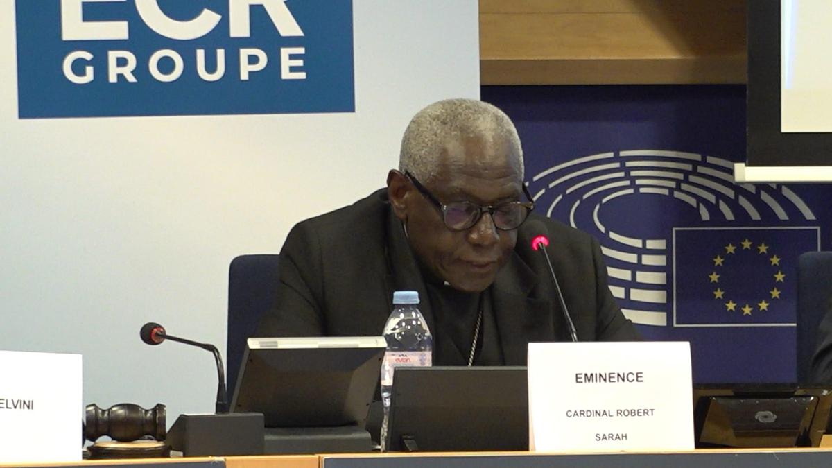 Ue, card. Sarah: "No a colonizzazione ideologica Africa, ma sussidiarietà autentica"