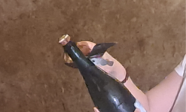 Vino in Champagne vendemmia 2026 la piu anticipata di sempre sfida cambiamenti climatici e mercati 265x160