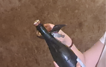 Vino in Champagne vendemmia 2026 la piu anticipata di sempre sfida cambiamenti climatici e mercati 364x230