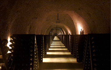 Vino sempre piu enoturisti nella Champagne alla scoperta di Maison blasonate e vignerons 364x230