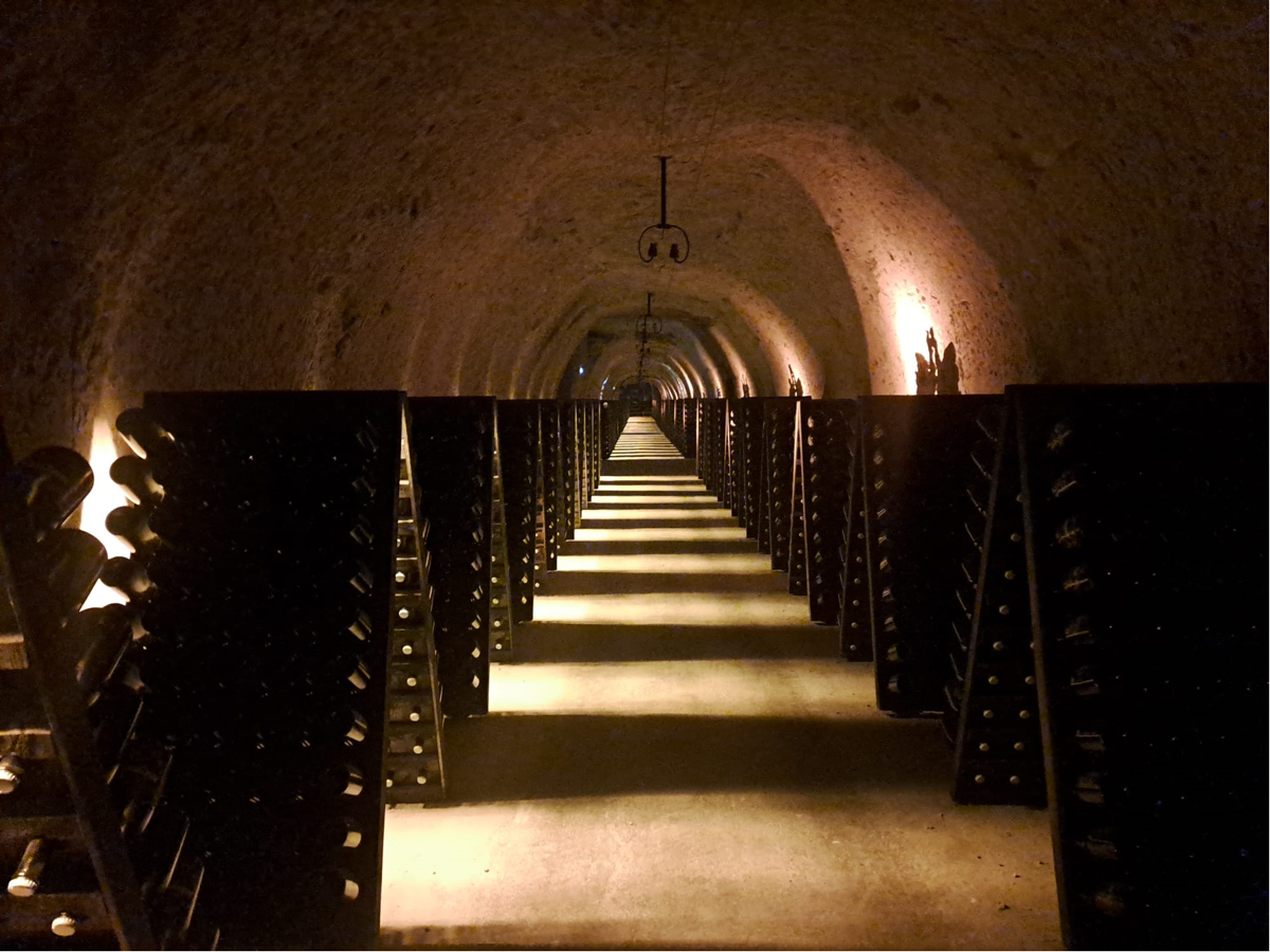 Vino: sempre più enoturisti nella Champagne, alla scoperta di Maison blasonate e vignerons