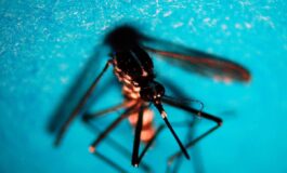 West Nile caso di encefalite a Napoli. Rezza Sorveglianze bloccate serve soluzione 265x160