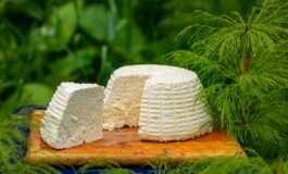 formaggi di capra escherichia coli
