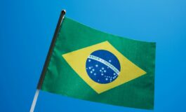 mondiali brasile eliminato gatto