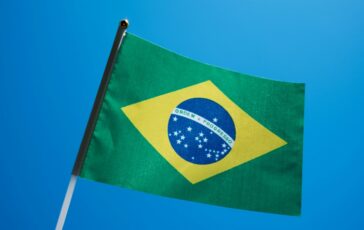 mondiali brasile eliminato gatto
