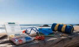 Educare i bambini alla fauna marina: regole sicure in spiaggia