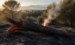 Emergenza incendi in Europa: evacuazioni di massa in Francia e Spagna