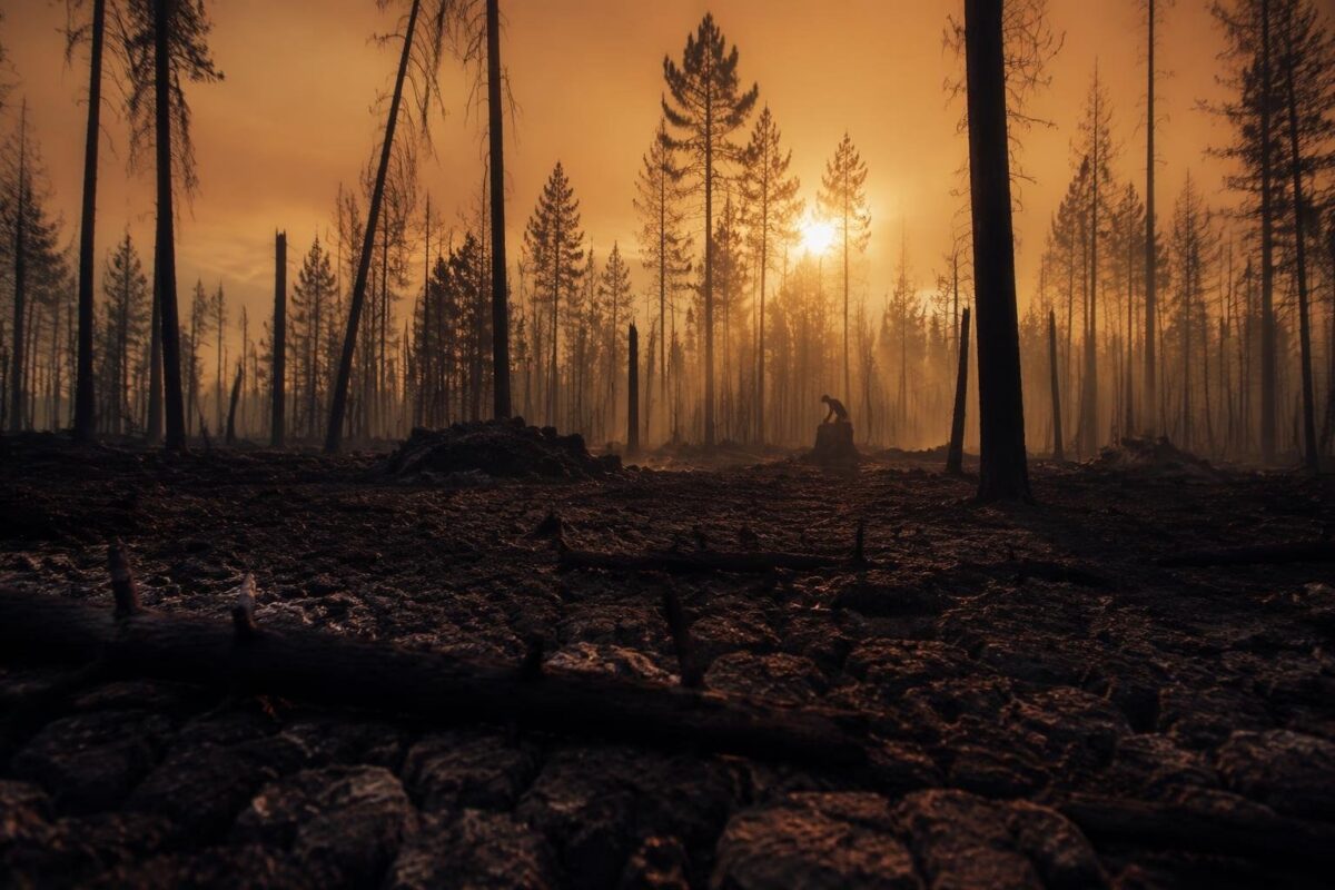 Emergenza incendi in Europa: Francia e Spagna in ginocchio, 270mila sfollati