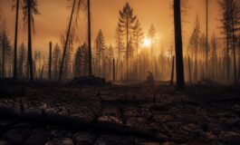 Emergenza incendi in Europa: Francia e Spagna in ginocchio, 270mila sfollati