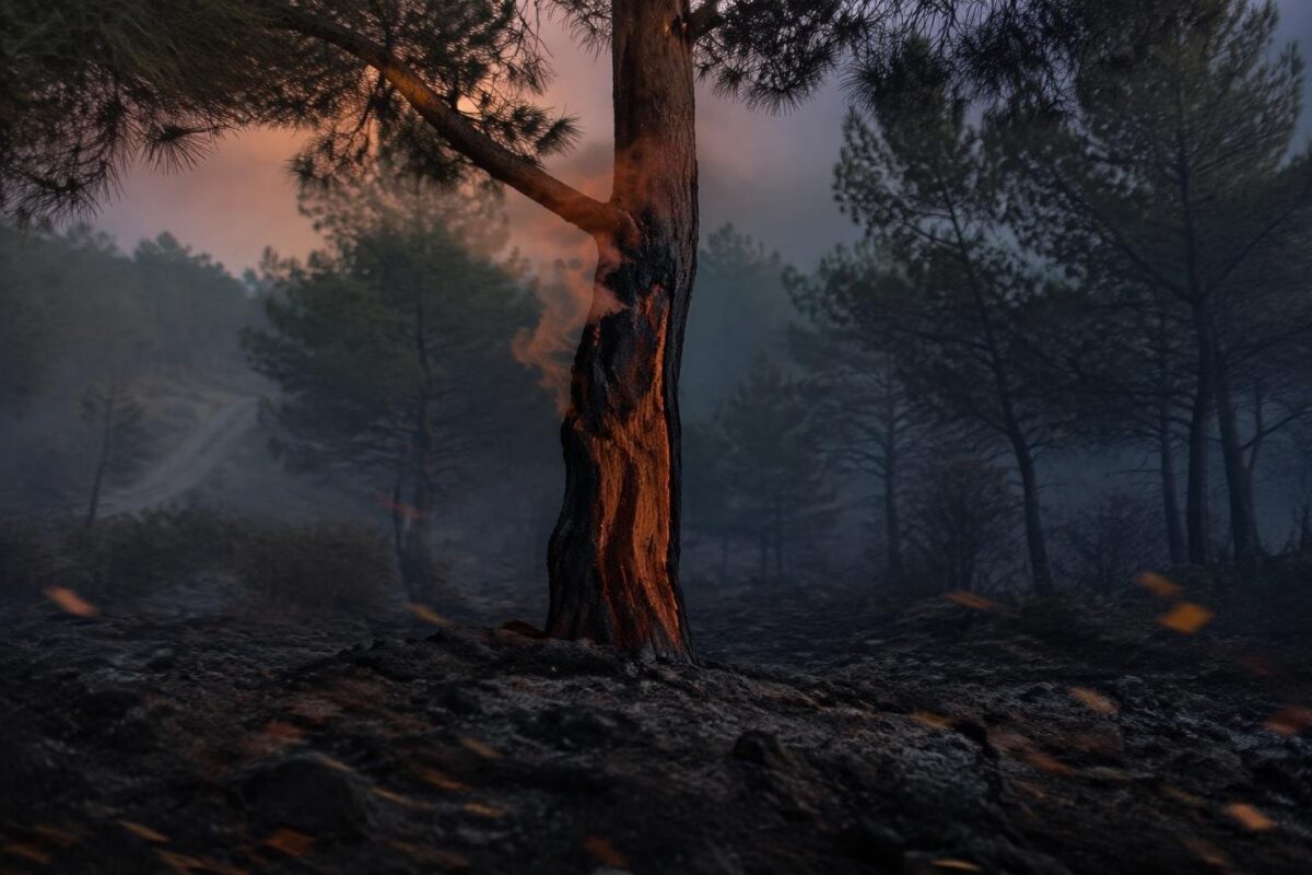 Emergenza incendi in Spagna: evacuazioni di massa e richiesta di aiuto europeo