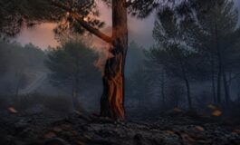 Emergenza incendi in Spagna: evacuazioni di massa e richiesta di aiuto europeo