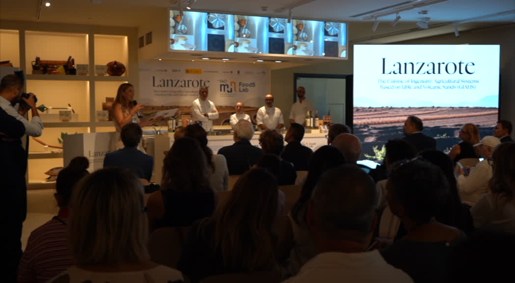 Terreni vulcanici scuri con coltivazioni tra le rocce nere di Lanzarote, paesaggio e agricoltura insulare