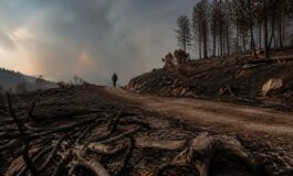Francia e Spagna in fiamme: evacuazioni di massa e intervento delle forze armate