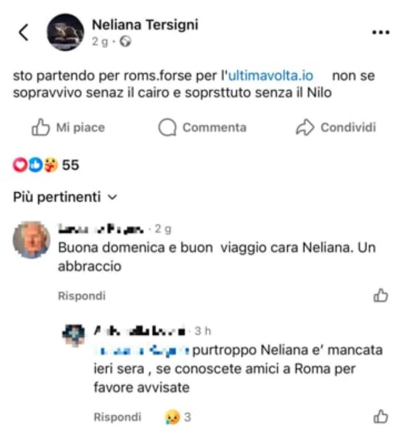 gatto ucciso roma