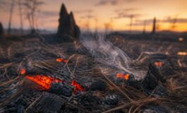 Incendi in Europa meridionale: l'allarme climatico e le ultime emergenze