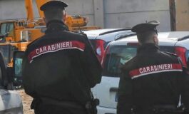 Uccide il fratello a colpi di mannaia