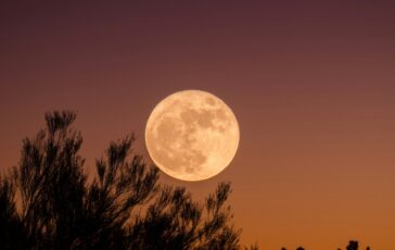luna piena luglio 2026 del cervo