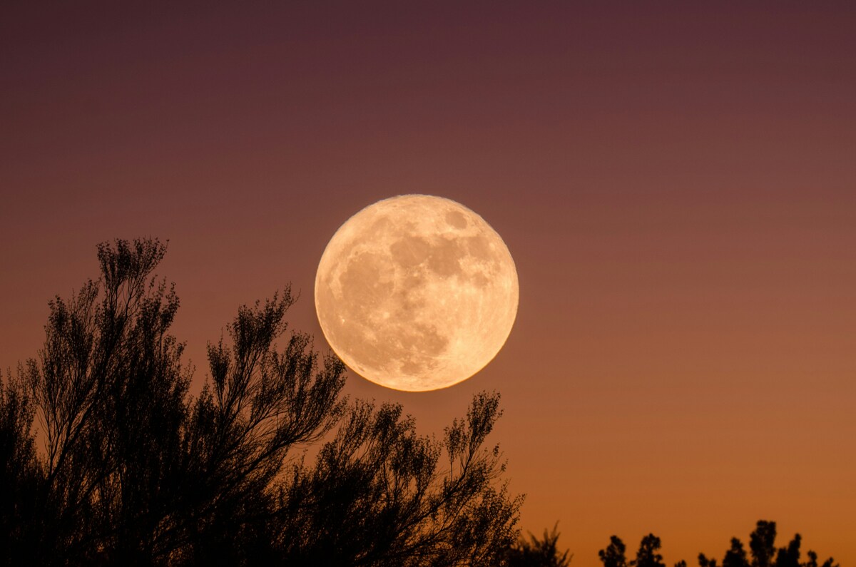 Luna piena del Cervo luglio 2026: quando ammirarla e perché si chiama così