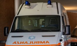 Morsa da una zecca, muore dopo un mese di agonia