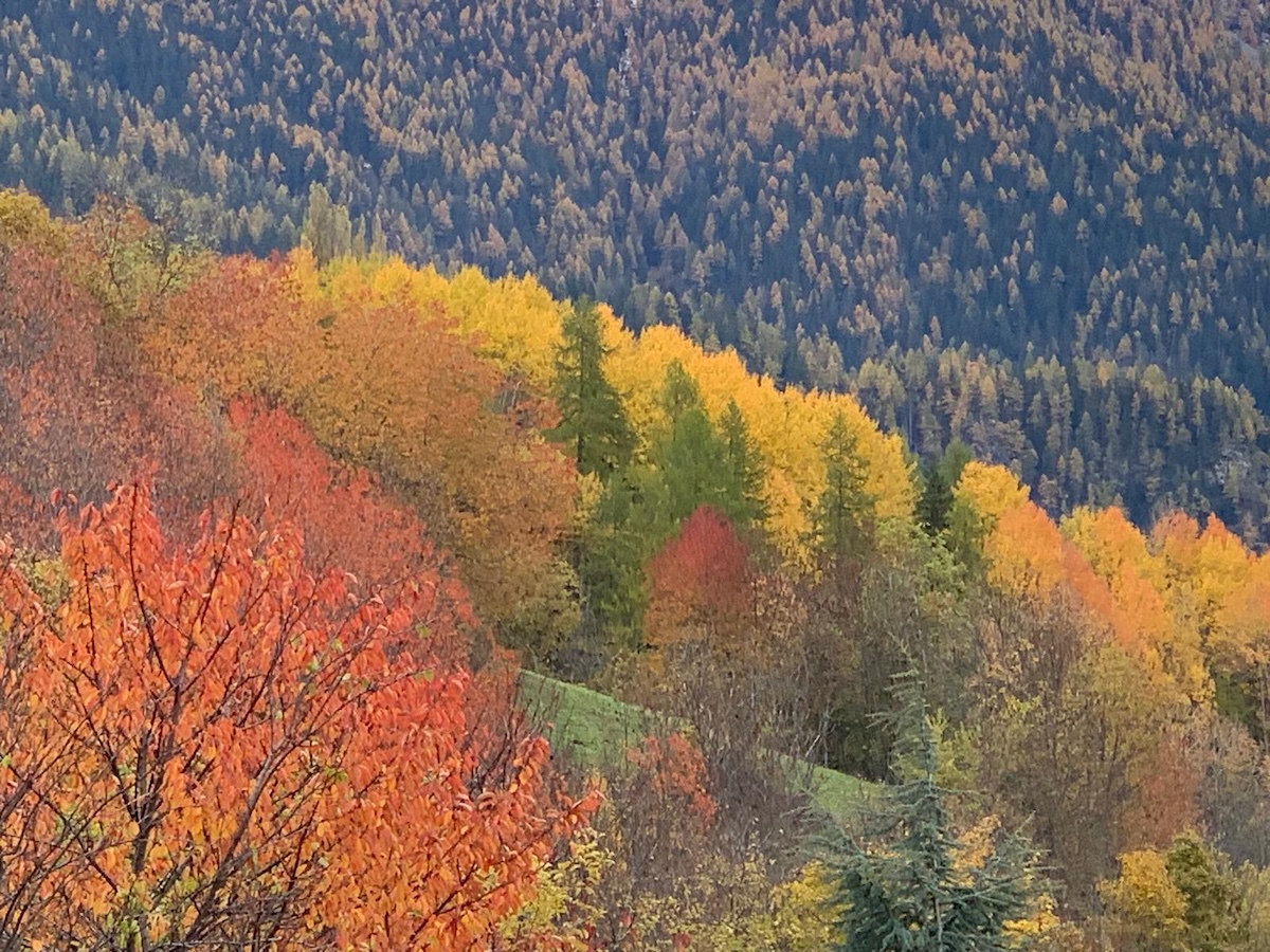 Imprese e diversità, il pluralismo crea resilienza, innovazione e bene comune