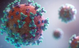 prossimo virus pandemico