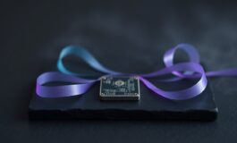 Qubit, superposizione ed entanglement spiegati senza formule