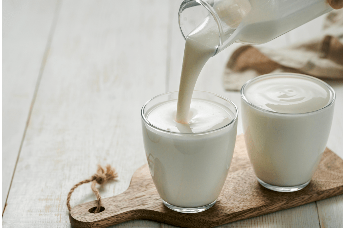 Alimenti, studio UniFi sui benefici dei lieviti del kefir
