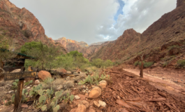 Alluvione lampo travolge il Grand Canyon 1 morto e 15 escursionisti dispersi 265x160