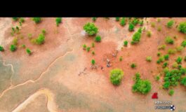 Ambiente Neya del Gruppo Mundys pianta 2.500 ettari di mangrovie in Madagascar 265x160