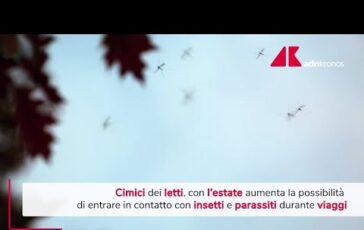Cimici dei letti in estate aumenta possibilita contatto 364x230