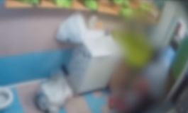 Due maestre dasilo arrestate per maltrattamenti altre 2 denunciate a Monza lasciavano i bimbi incustoditi e senza cibo 265x160