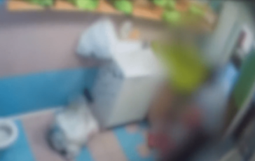 Due maestre dasilo arrestate per maltrattamenti altre 2 denunciate a Monza lasciavano i bimbi incustoditi e senza cibo 364x230