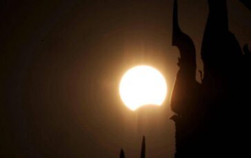 Eclissi anche gli animali la vedranno i consigli per non farli agitare 364x230