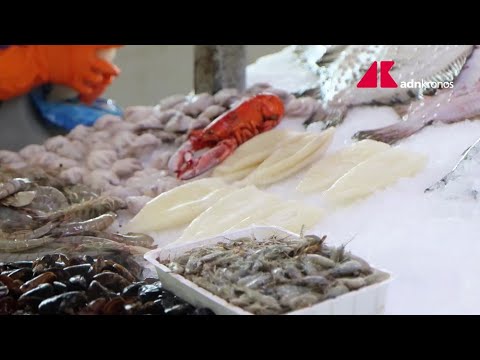 Fermo pesca in tutto l'Adriatico, lo stop fino al 29 settembre