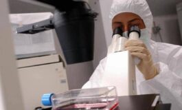 Florida cresce lallarme per il batterio mangiacarne ce una seconda vittima 265x160