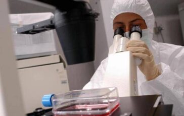 Florida cresce lallarme per il batterio mangiacarne ce una seconda vittima 364x230