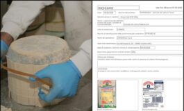 Gorgonzola richiamato dai supermercati per possibile Listeria cosa sapere e il lotto da evitare 265x160