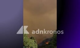 Incendi in Sardegna notte di fuoco ad Arzana dallalba in volo due Canadair Video 265x160