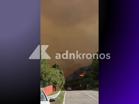 Incendi in Sardegna, notte di fuoco ad Arzana: dall'alba in volo due Canadair - Video