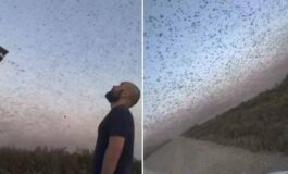 Invasione record di locuste milioni di insetti oscurano il cielo. E il web grida alla piaga biblica 265x160