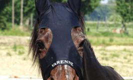 Morto Varenne il piu grande cavallo trottatore di tutti i tempi aveva 31 anni 265x160