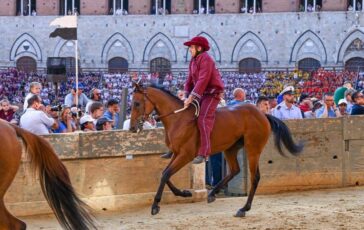 Palio Siena la Contrada della Torre vince la quarta prova 364x230