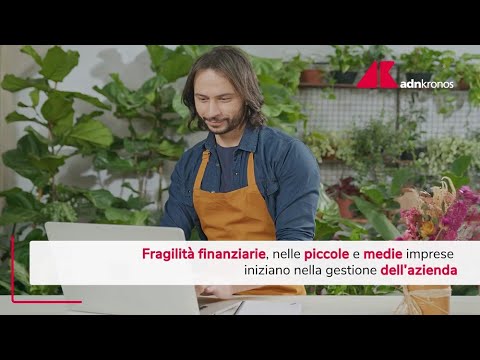 Piccole e medie imprese, fragilità finanziarie iniziano nella gestione dell'azienda
