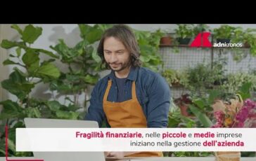 Piccole e medie imprese fragilita finanziarie iniziano nella gestione dellazienda 364x230