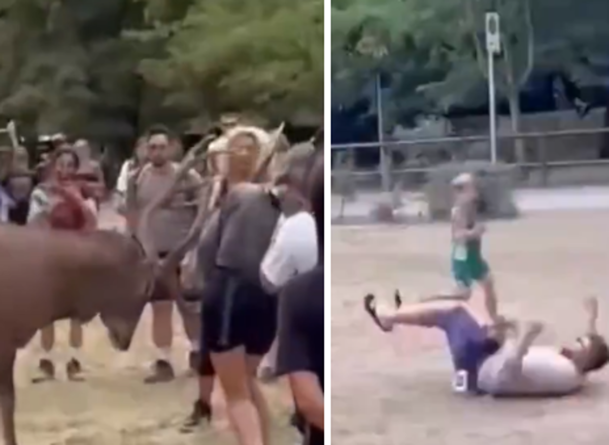 Prova a toccare un cervo e viene 'caricato': il video virale