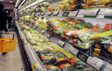 Stanchezza e irregolarita intestinale 4 strategie per recuperare dopo rientro dalle vacanze 364x230